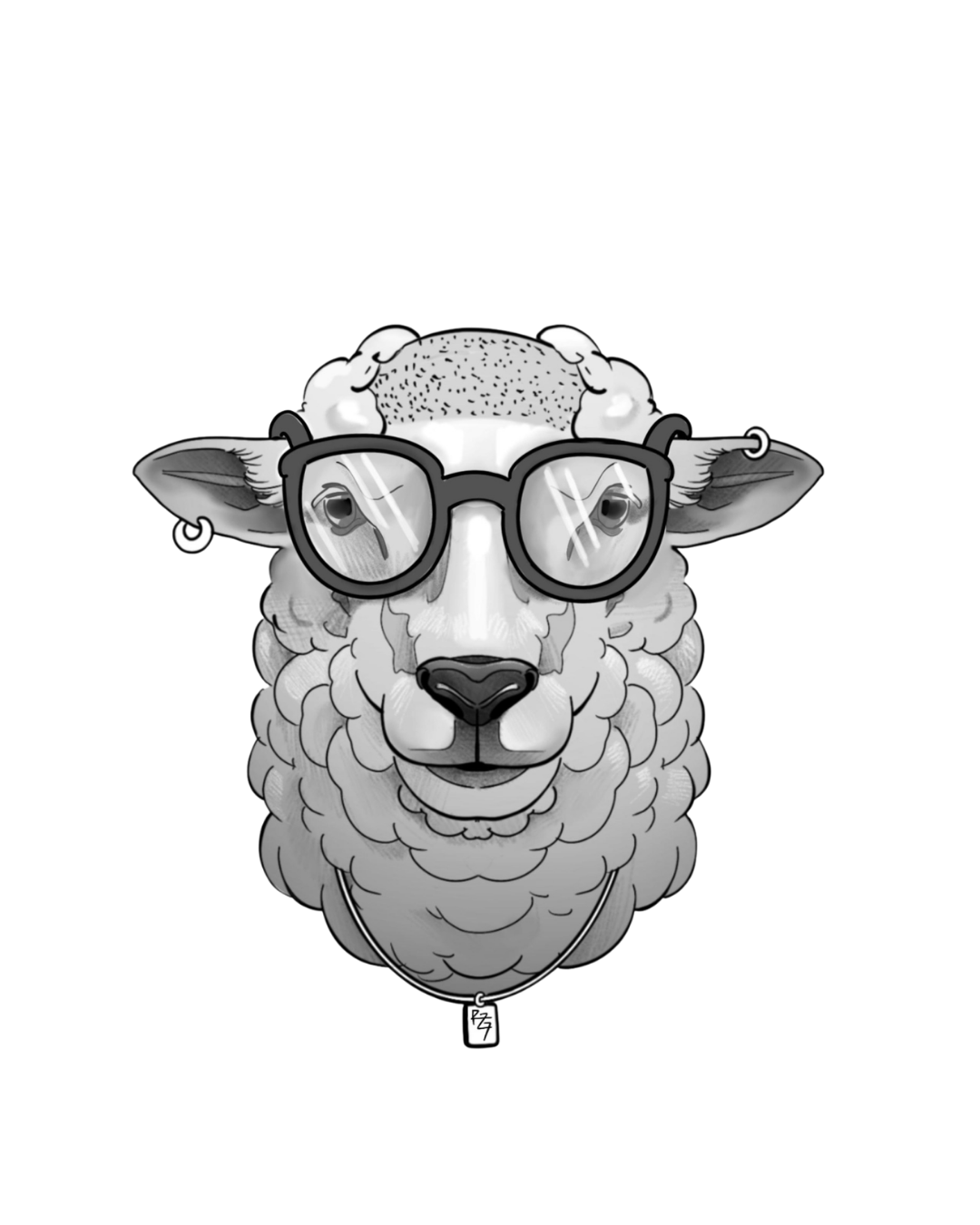The Bald Sheep